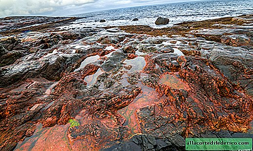 Ruwe stranden van de Barentszzee