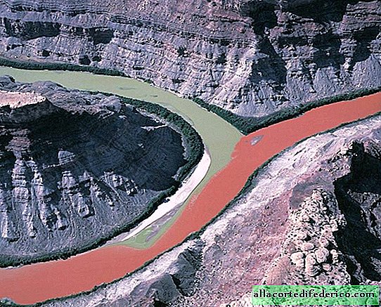 Mariage de rivières: lieux exceptionnels de la planète où se rejoignent des rivières de couleurs différentes