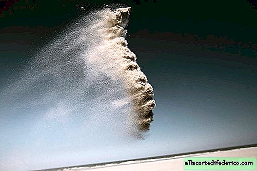 สิ่งมีชีวิตในดวงใจจากทรายถูกโยนลงไปในอากาศในรูปของ Claire Dropert