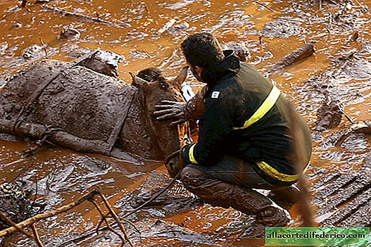 Desastre causado pelo homem: lama tóxica no Brasil