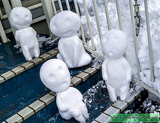 امتلأت طوكيو بالثلج ، لكن اليابانيين عرفوا ماذا يفعلون بها