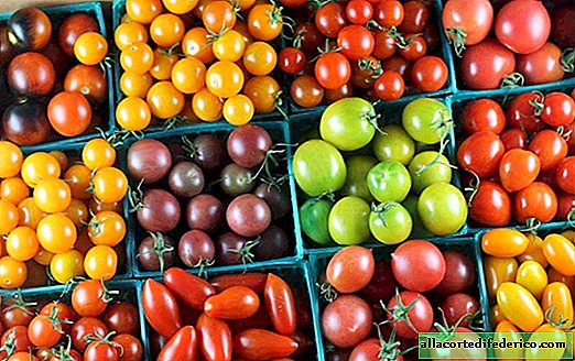 Tomat: den taggiga vägen från en giftig växt till miljoner älskling