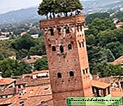Toscane - un paradis créé sur terre