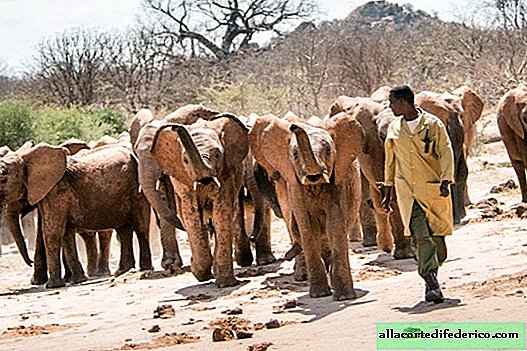 Rørende bilder som viser forholdet til foreldreløse elefanter og deres vaktmestere