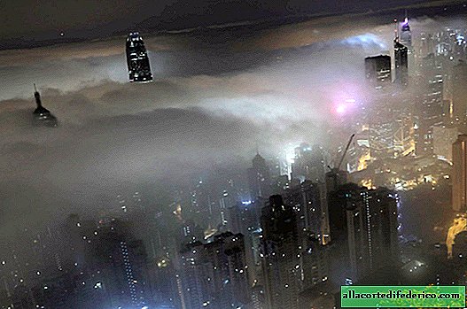 Nieblas que convirtieron lugares de todo el mundo en impresionantes pinturas místicas