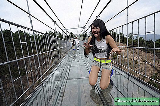 Tourists are afraid to walk on the new terrifying glass bridge in China!