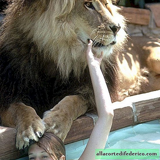 La increíble vida juntos de la famosa actriz Melanie Griffith y el león.