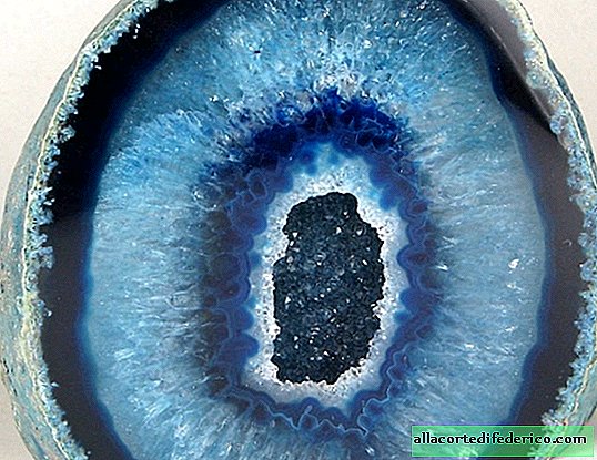 Géode incroyable: comment les améthystes et les cristaux se développent dans des pierres ordinaires