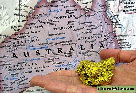في أستراليا ، اكتشف الفطر الذي يتغذى على الذهب