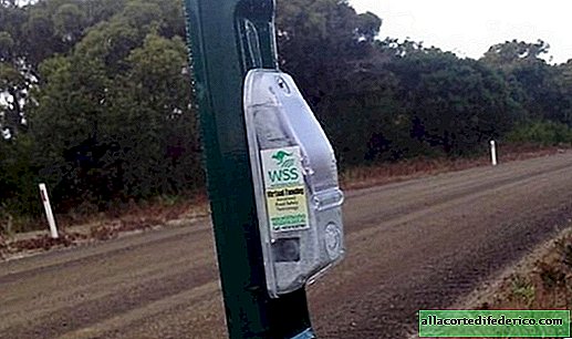 L'Australie introduit un nouveau système de protection des animaux contre les collisions avec des voitures