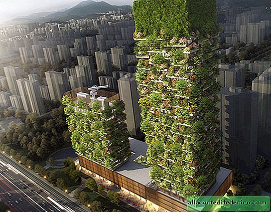The first vertical forest will be built in Asia. From his sight you can lose the power of speech!