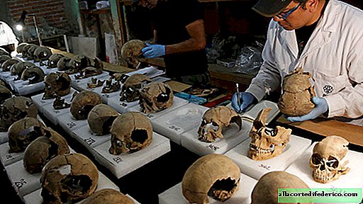 In the center of Mexico City found the Aztec tower of skulls
