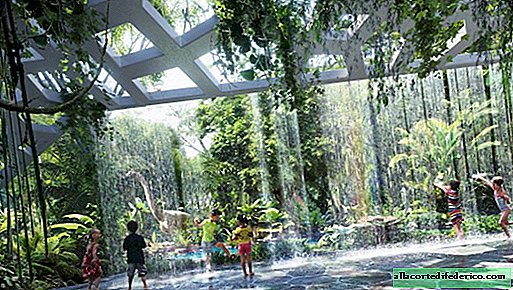 Dubai opent het eerste hotel ter wereld met een regenwoud