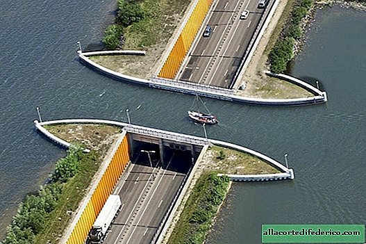في هولندا ، هناك جسر فوقه قوانين الفيزياء