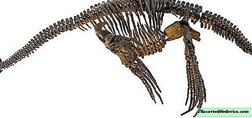 In what cases did plesiosaurs prefer "four-wheel drive" when traveling
