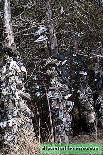 En Canadá, el fotógrafo encontró un bosque misterioso lleno de zapatos.