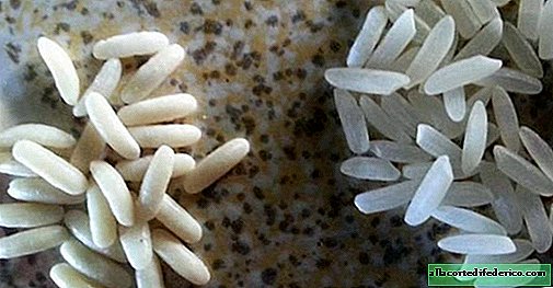 China produceert kunstmatige rijst met plastic en levert deze aan de buren