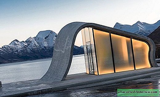 في النرويج ، بنيت أجمل مرحاض عام في العالم