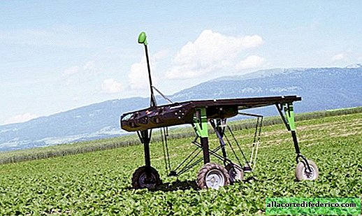 Een robot verschijnt in Zwitserland om GGO-planten te helpen uitroeien