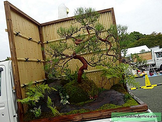 Au Japon, est venu avec des mini-jardins mobiles cool