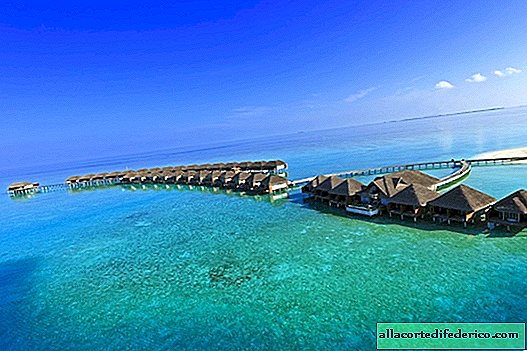 Tauchen in Velassaru Malediven