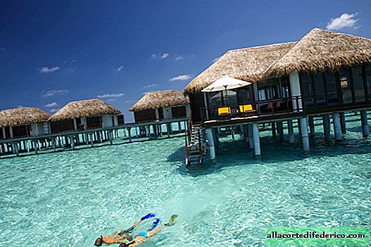Lyxiga villor och oförglömliga kulinariska äventyr i Velassaru Maldiverna