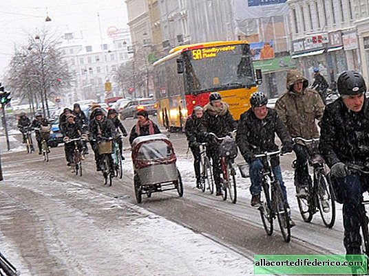 Koehanski trijumf v Kopenhagnu: kako so Danci premagali prometne zamaške in se prenesli na kolesa