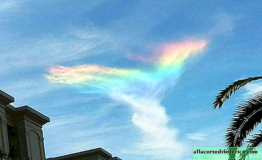Going out into the street, the inhabitants of South Carolina saw this rarest phenomenon in the sky!