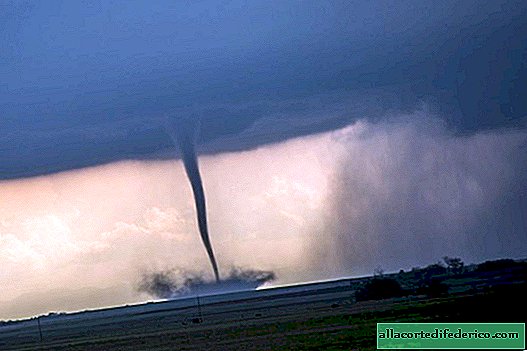 Liefhebbers in een tornado: een stel maakt gekke foto's van orkanen