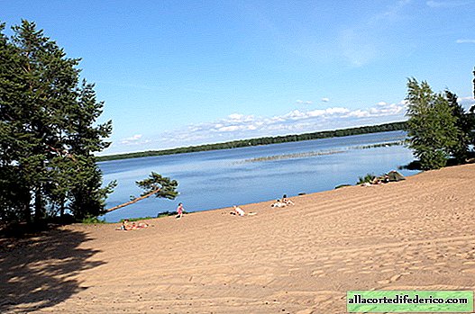 Les étangs de Saint-Pétersbourg et ses environs où vous pourrez nager