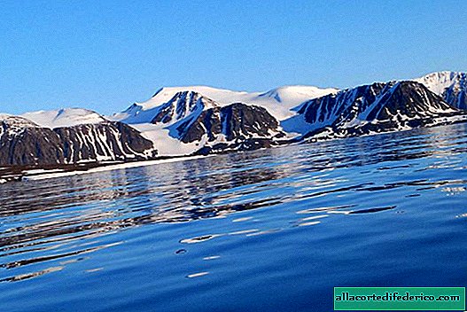 Pioniri XXI stoljeća: kako ruski školarci otkrivaju otoke na Arktiku