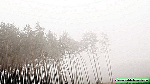 Јакуб Венцзек уклања пољске шуме демонстрирајући тамну природу природе