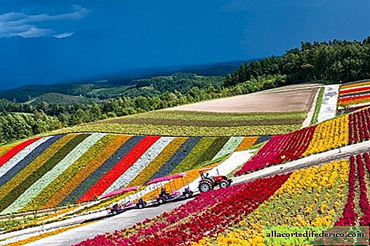 Japanische Blumenfarm