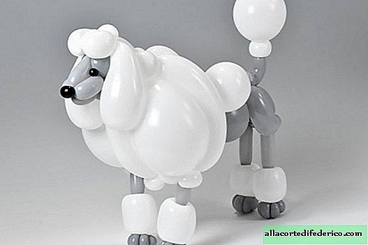 Japanese artist makes amazing animal sculptures from balloons