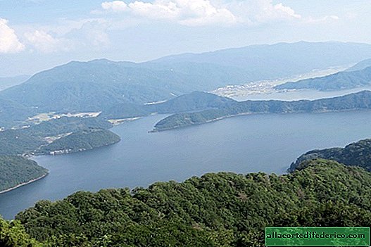 Suigetsu japanilainen järvi - ainutlaatuinen maailmankehitys