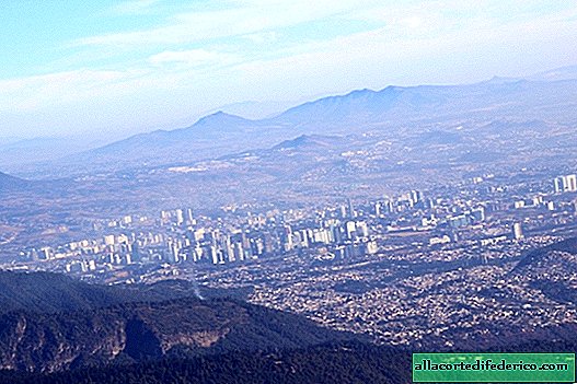 Choking Mexico City, in which even buildings are involved in air purification