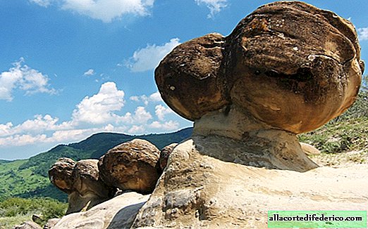 Geheimnisvolle rumänische Trents: Steine, die wachsen und sich sogar vermehren