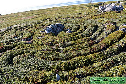 Mysterious island: who built the stone labyrinths in the White Sea