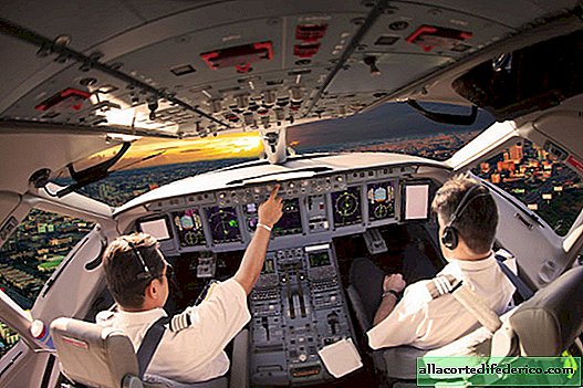 Wissen Sie, dass der Pilot und der Copilot unterschiedliche Lebensmittel zu sich nehmen sollten?