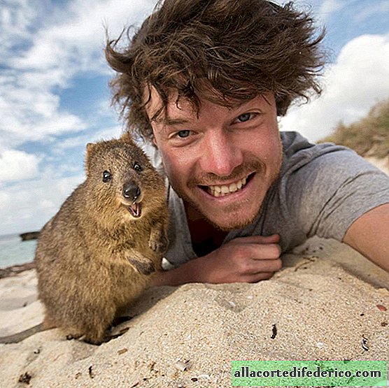 Rencontrez le génie de l'art de selfie avec des animaux!
