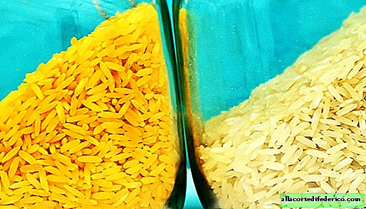 Golden rice: why genetics brought unusual rice, and why the project failed