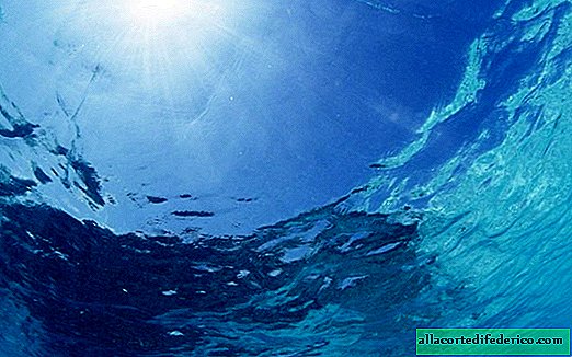 Зони на смърт в океаните: защо никой не живее тук